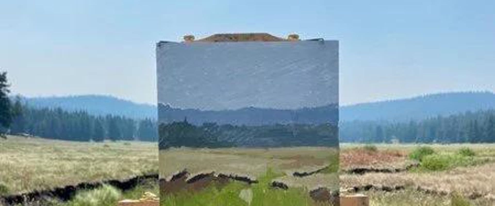 Art for What Comes Next