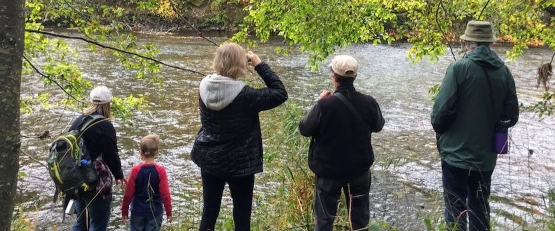 Salmon Viewing Happy Hour
