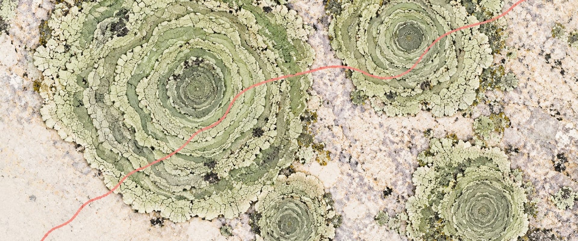 Bioregional Explorers Club: The Second Expedition