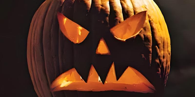 Spooky Vines & Vinyls