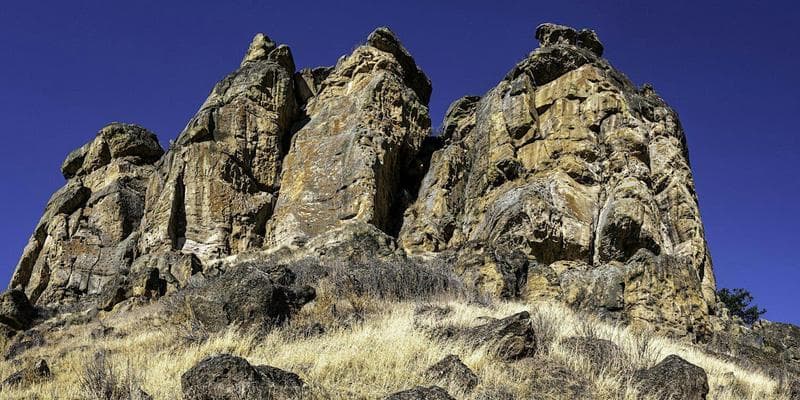 History & Natural History of the Bluff