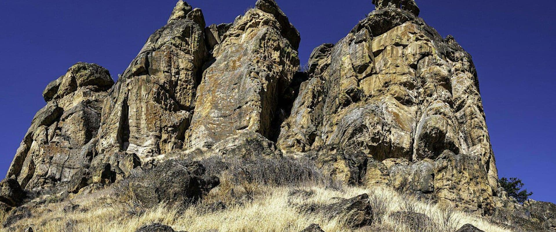 History & Natural History of the Bluff