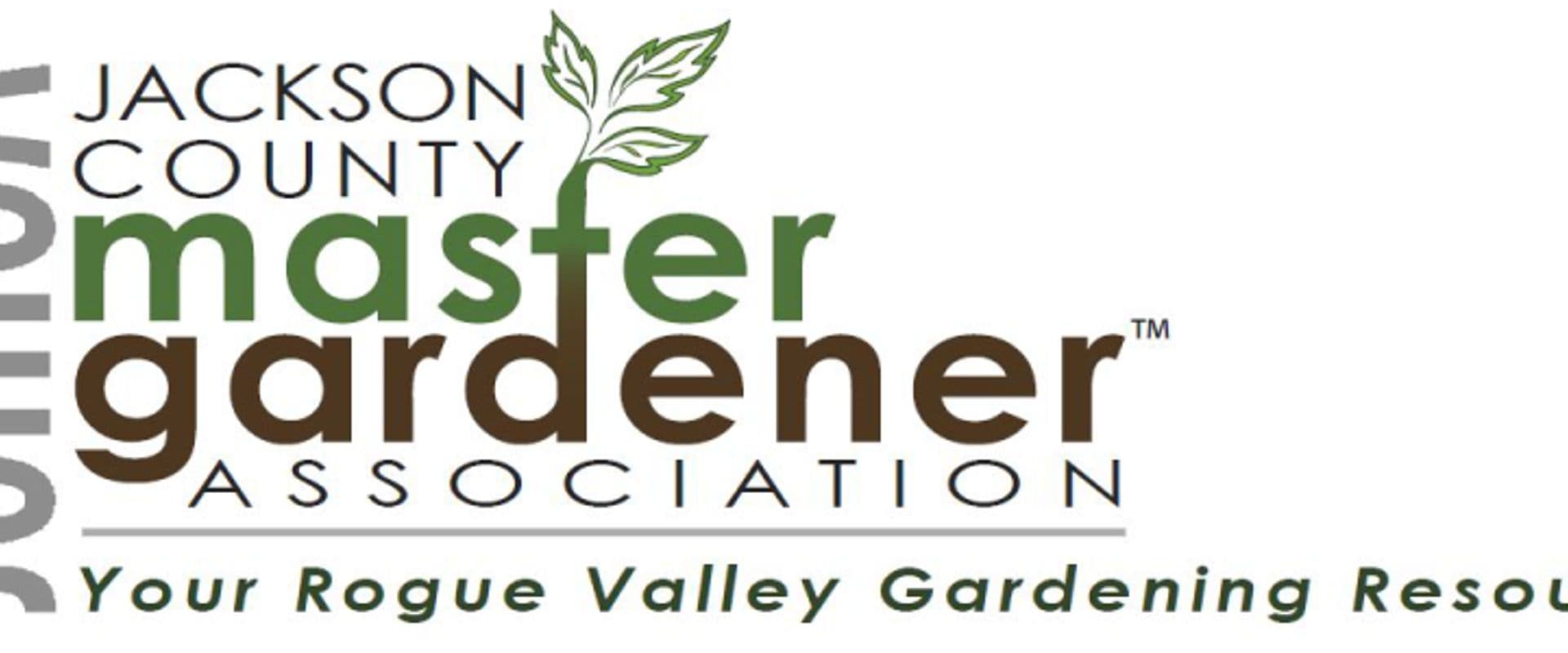 Cultivating Companions: Growing Together Through Plants